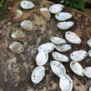 청아농장 이미지