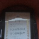뚝섬에서 WPA SUP 국가대표 2차선발전 대회후기