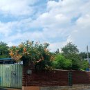 추산경로당 이미지