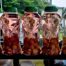광양매화골농원 영농조합법인 | ‘생생정보’ 황매실, 광양 매화골농원 맛집 위치 완숙매실 원액 매실절임 매실농축진액 종류 가격...