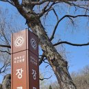 단종의 시신 중종때 이미지