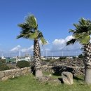 영수네 귀덕 이미지