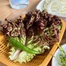 소새울역 1번출구 | 부천 소새울역 갈비 맛집 추봉네참숯소갈비살전문점