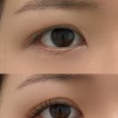[안양] 안양속눈썹연장 추천 “단하래쉬” 방문 후기