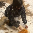 슬립랜드 이미지