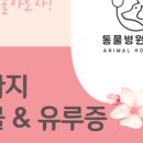 동물병원예지 이미지