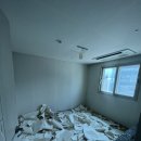 블루시티퀸덤 이미지