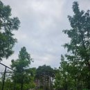 올떡광주 | 250624 기아타이거즈 vs 키움히어로즈 직관후기 / 1라운더 김태형 데뷔 / 최형우 1700타점 ! (309블록)