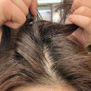 명동스낵 | 명동 헤드스파 이철헤어커커 명동2호점 지현 스타일리스트 카밍헤드스파 후기