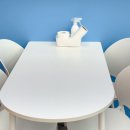 애견# | 내돈내산 하랑이랑 애견카페 후기!