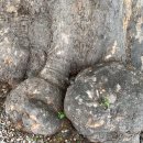 _나루터로2-7_ 이미지