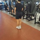 익스홀릭 가넷 이미지