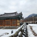 삶, 숨, 쉼터, 나무 이야기203 이미지