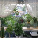 삼거리플라워 이미지