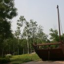 H9269 Daum카페
