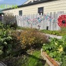 마리나뷰 이미지