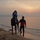 해맞이승마클럽 이미지