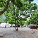 영월 외룡 캠핑장 이미지