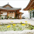 송호펜션민박 이미지