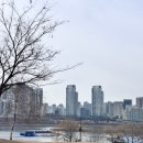 시도 경춘로 | 일벌리기 장인의 2026년 2월 기록