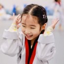 국가대표 S 태권도 네이버블로그