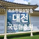 국립 대전 현충원 방문후기 (+꽃 구입)