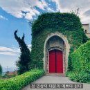 부산온라인학교 | 온라인마케팅 협업학교 부산 2기 6주 후기