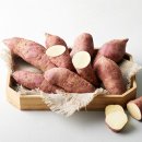 김용주농장 이미지