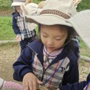 청담숲유치원 이미지