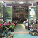 첨단LPG충전소 이미지