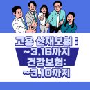 여여노무행정사무소 | [4대보험 전문 노무사] 3월 16일까지 보수총액신고, 반드시 해야 합니다