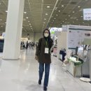 도트엘