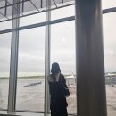 ✈️ 이탈리아 신혼여행 | 밀라노 in → 로마 out 13일 여정