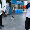 전동 31-3 공영주차장 | 남해 여행코스 가족여행 액티비티 보물섬전동바이크 솔직후기