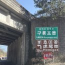 [포항] 경북 포항 캠핑 바다 앞 오션뷰 캠핑장 그린오토캠핑장 해변 6-3 내돈내산 후기