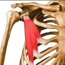 원트레이닝 센터 이미지