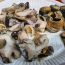 더 설렘 온수 수영장펜션 이미지