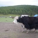무릉1공원 | 몽골 자유여행 2 ㅣ테를지 국립공원에서 국영백화점...야간기차, 택시타고 무릉-하트갈-장하이로 !