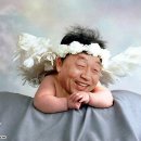 죠야 이미지