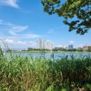 금수강산 식육식당 이미지