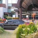 시인의 내일 이미지