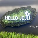 대흘리에오롯이 | HELLO JEJU 🏝
