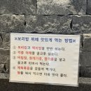 레이크힐스호텔속리산 | [보은여행] 속리산법주사근처 산채보리밥 뷔페 (늘솔길호텔식당)
