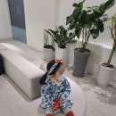 비앤씨안과의원 | [26개월] 아기 눈 깜빡임 - 안과 방문 후기