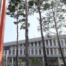 어진동_문화체육관광부 이미지