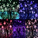 세계의명화감상하기 | [아르떼 뮤지엄_강릉] 완전 추천! 진짜 돈이 아깝지 않다! (포토존 어마어마함!)