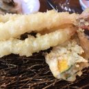 바다바라기 이미지