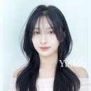 헤어염색 이미지