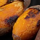 꿀밤농장 이미지