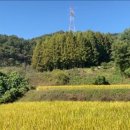 신원1리 이미지